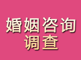 那曲婚姻咨询调查